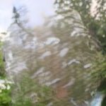 About the UK charity holder